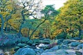 Glistening waters in Burbage Brook, near Padley Gorge, Grindleford, East Midlands.