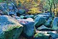 Rocks a glow, in Padley Gorge, Grindleford, East Midlands.