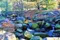 Bridge and stream, in Padley Gorge, Grindleford, East Midlands.