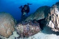 Diver near a giant clam Royalty Free Stock Photo