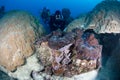 Divers with a Giant Clam