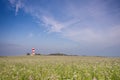 Happisburgh Lighthouse in a Field of Flowers