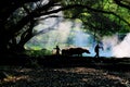 Farmers and cattle Royalty Free Stock Photo