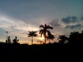 Sunset and coconut trees, shiluet Royalty Free Stock Photo