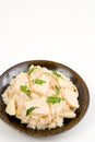 Takenoko-gohan Royalty Free Stock Photo