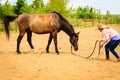 Cowgirl standing next to brown horse friend Royalty Free Stock Photo