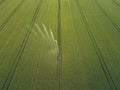 Taking care of the crop. Aerial view of irrigation system for agriculture, watering farmland