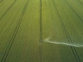 Taking care of the crop. Aerial view of irrigation system for agriculture, watering farmland