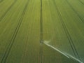 Taking care of the crop. Aerial view of irrigation system for agriculture, watering farmland