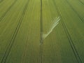Taking care of the crop. Aerial view of irrigation system for agriculture, watering farmland