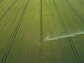 Taking care of the crop. Aerial view of irrigation system for agriculture, watering farmland