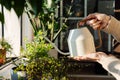 Taking care for houseplants: woman water potted flower with cute watering can. Growing home garden