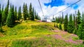 Taking the chairlift up to do a hike to the top of Tod Mountain Royalty Free Stock Photo