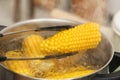 Taking corn cob from stewpot with boiling water Royalty Free Stock Photo