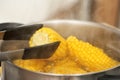 Taking corn cob from stewpot with boiling water Royalty Free Stock Photo