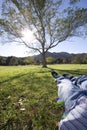 Taking it easy Royalty Free Stock Photo