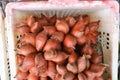 Close up of salak fruit for sale at floating market in Thailand. Royalty Free Stock Photo