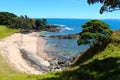 Taking a little track down to a secluded beach at Coopers Royalty Free Stock Photo