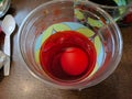 Taking out dark red easter egg dyed for orthodox pascha