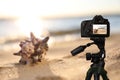 Taking photo of sandy beach and sea shell with camera mounted on tripod Royalty Free Stock Photo