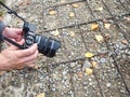 Taking pictures of colorful leaves in autumn nature