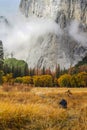 Taking Pictures at El Capitan Meadow