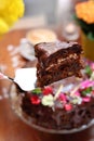 Taking a piece of chocolate cake, carrot cake with chocolate glaze, selective focus, close-up, with blurred background. Royalty Free Stock Photo