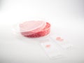 Artificial meat research Royalty Free Stock Photo