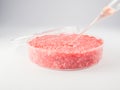 Artificial meat research