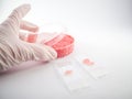 Artificial meat research Royalty Free Stock Photo