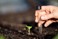 taking a soil sample for a soil test in a field. Testing carbon sequestration and plant health Royalty Free Stock Photo