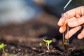 taking a soil sample for a soil test in a field. Testing carbon sequestration and plant health Royalty Free Stock Photo