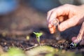 farmer collecting soil samples in a test tube in a field. Agronomist checking soil carbon and plant health on a farm. soil science Royalty Free Stock Photo