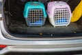 taking two cats in cat transport cage with grid put in a car trunk of silver suv with black protective pad Royalty Free Stock Photo