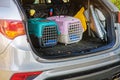 taking two cats in cat transport cage with grid put in a car trunk of silver suv with black protective pad Royalty Free Stock Photo