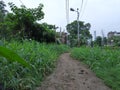 Beautiful green landscape in rural India