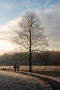 Taking a walk by a tree on a cold winter morning Royalty Free Stock Photo