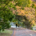 Taking a walk at the UC Davis Arboretum