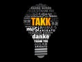 Takk (Thank You in Icelandic) light bulb Word Cloud