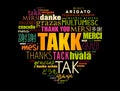 Takk (Thank You in Icelandic) love heart Word Cloud