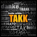 Takk (Thank You in Icelandic) Word Cloud