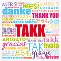 Takk Thank You in Icelandic Word Cloud