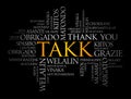 Takk (Thank You in Icelandic) Word Cloud