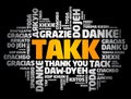 Takk (Thank You in Icelandic) Word Cloud