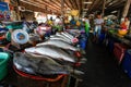 Takua Pa, Thailand - February 22, 2016: Fresh fish and seafood