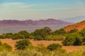 Talampaya National Park, La Rioja, Argentina Royalty Free Stock Photo