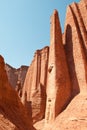 Talampaya national park, northern Argentina. Royalty Free Stock Photo