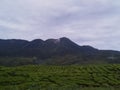 Talang Mount