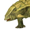 Talarurus Ankylosaur Head Royalty Free Stock Photo