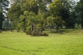 Talatal Ghar, Talatal Ghar is located in Rangpur, Sivasagar, Assam. Grandest examples of Tai Ahom architecture